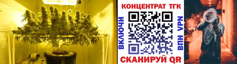 ТГК THC oil  Гдов 
